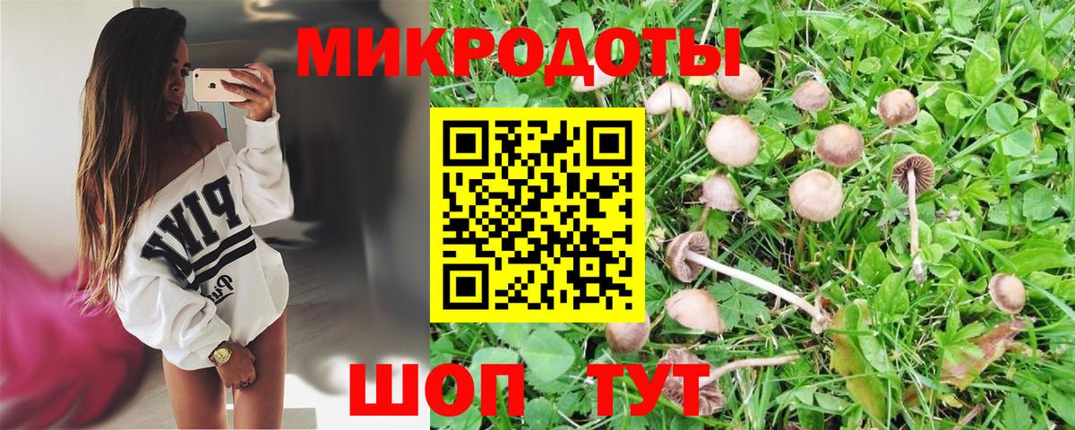 Псилоцибиновые грибы мухоморы  Псилоцибиновые грибы ЛСД  Вход с VPN  Мелеуз 