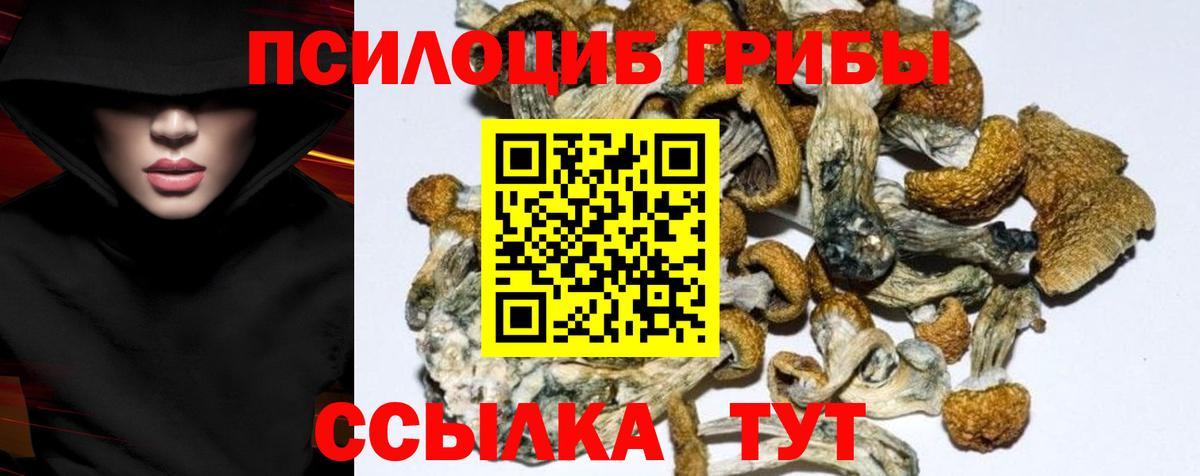 Галлюциногенные грибы мицелий Мелеуз